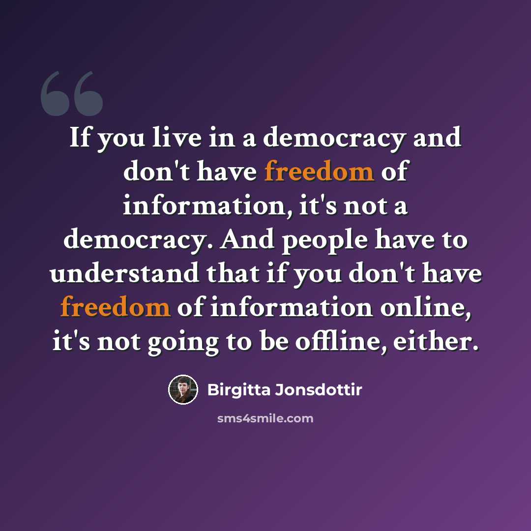 “If you live in a democracy and don't have freedom of information, it's not a democracy. And people have to understand that if you don't have freedom of information online, it's not going to be offline, either.” quote by Birgitta Jonsdottir