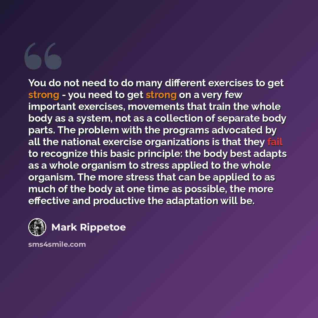 “You do not need to do many different exercises to get strong - you need to get strong on a very few important exercises, movements that train the whole body as a system, not as a collection of separate body parts. The problem with the programs advocated by all the national exercise organizations…” quote by Mark Rippetoe