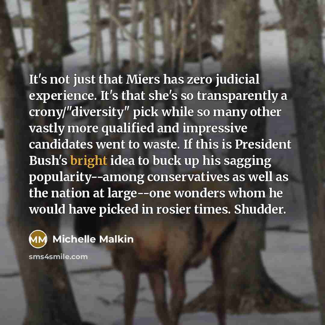 “It's not just that Miers has zero judicial experience. It's that she's so transparently a crony/"diversity" pick while so many other vastly more qualified and impressive candidates went to waste. If this is President Bush's bright idea to buck up his sagging popularity--among conservatives as well…” quote by Michelle Malkin