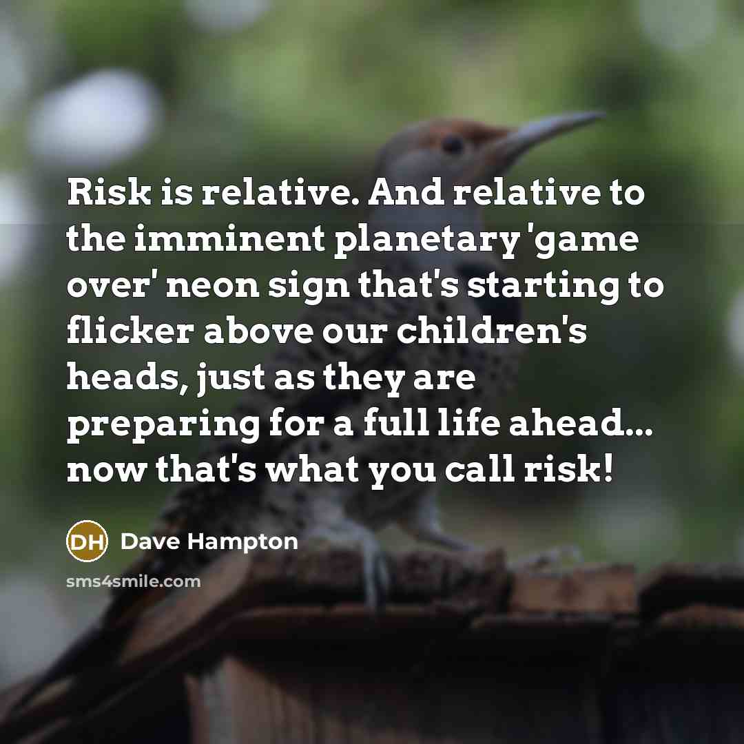 “Risk is relative. And relative to the imminent planetary 'game over' neon sign that's starting to flicker above our children's heads, just as they are preparing for a full life ahead... now that's what you call risk!” quote by Dave Hampton
