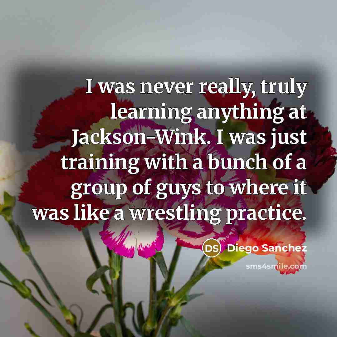 “I was never really, truly learning anything at Jackson-Wink. I was just training with a bunch of a group of guys to where it was like a wrestling practice.” quote by Diego Sanchez