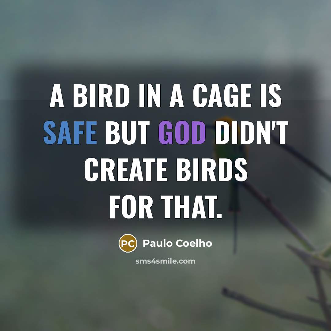 “A bird in a cage is safe but God didn't create birds for that.” quote by Paulo Coelho