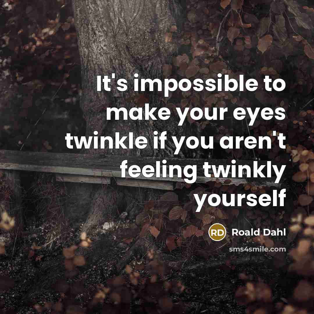 “It's impossible to make your eyes twinkle if you aren't feeling twinkly yourself” quote by Roald Dahl