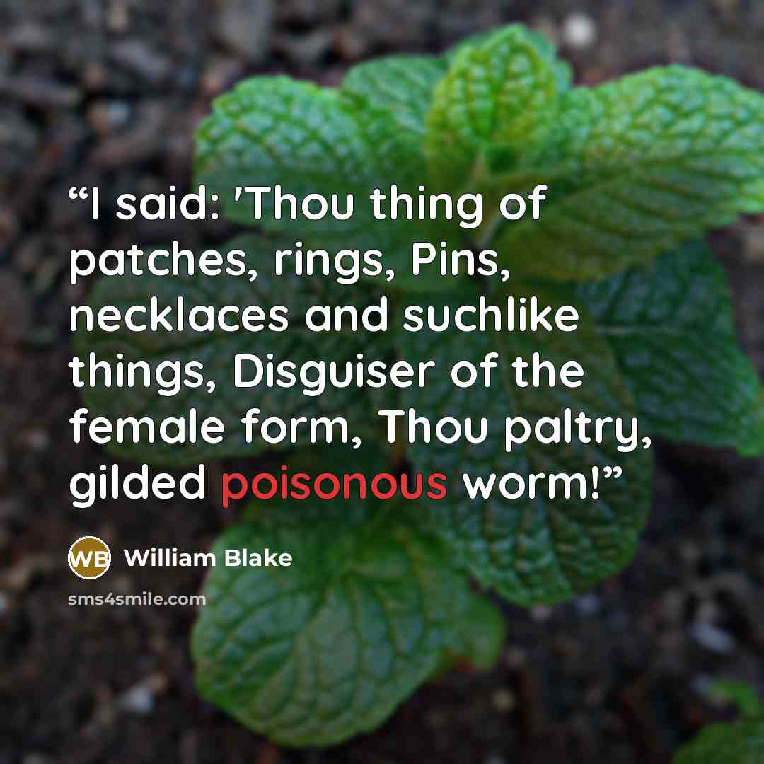 “I said: 'Thou thing of patches, rings, Pins, necklaces and suchlike things, Disguiser of the female form, Thou paltry, gilded poisonous worm!” quote by William Blake