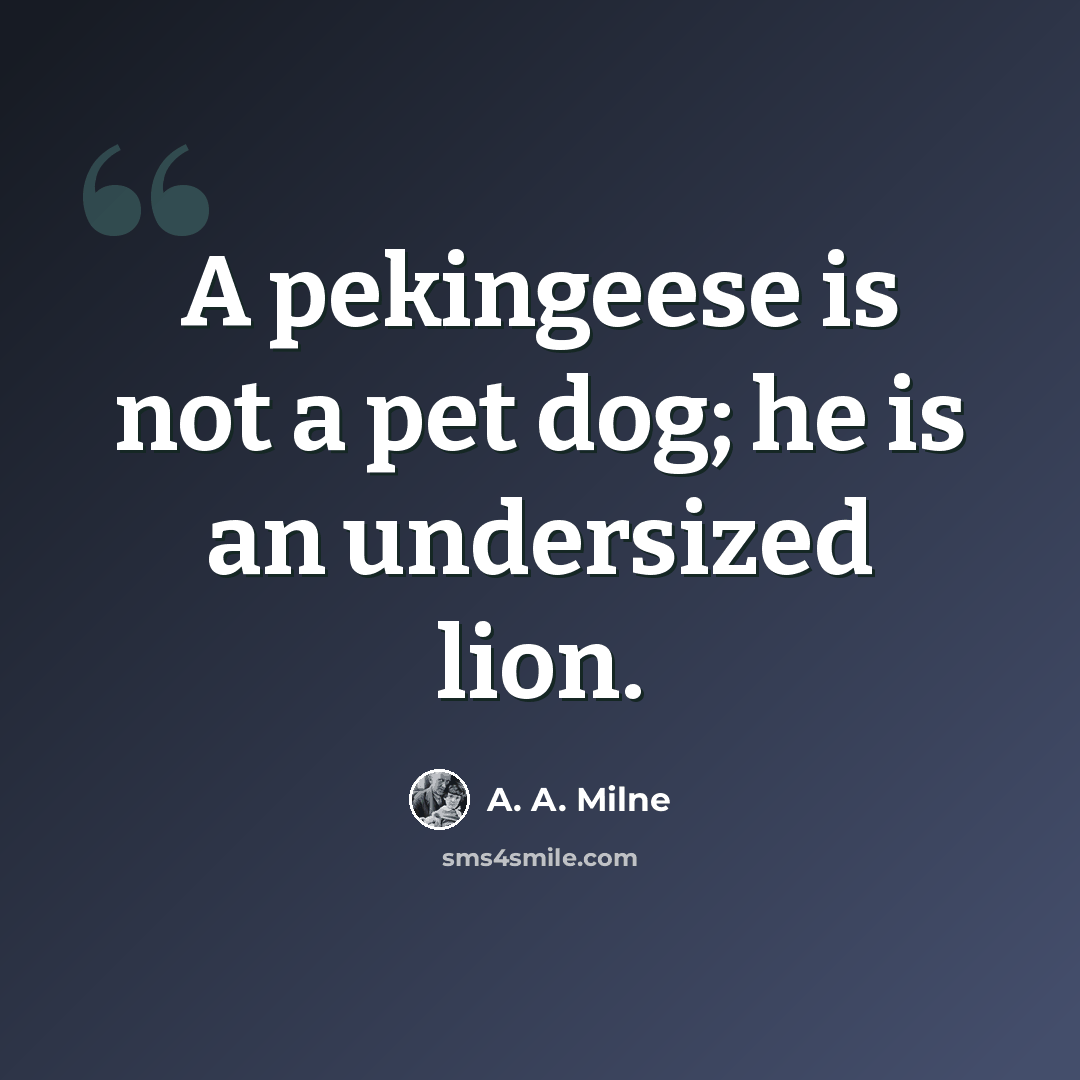 “A pekingeese is not a pet dog; he is an undersized lion.” quote by A. A. Milne