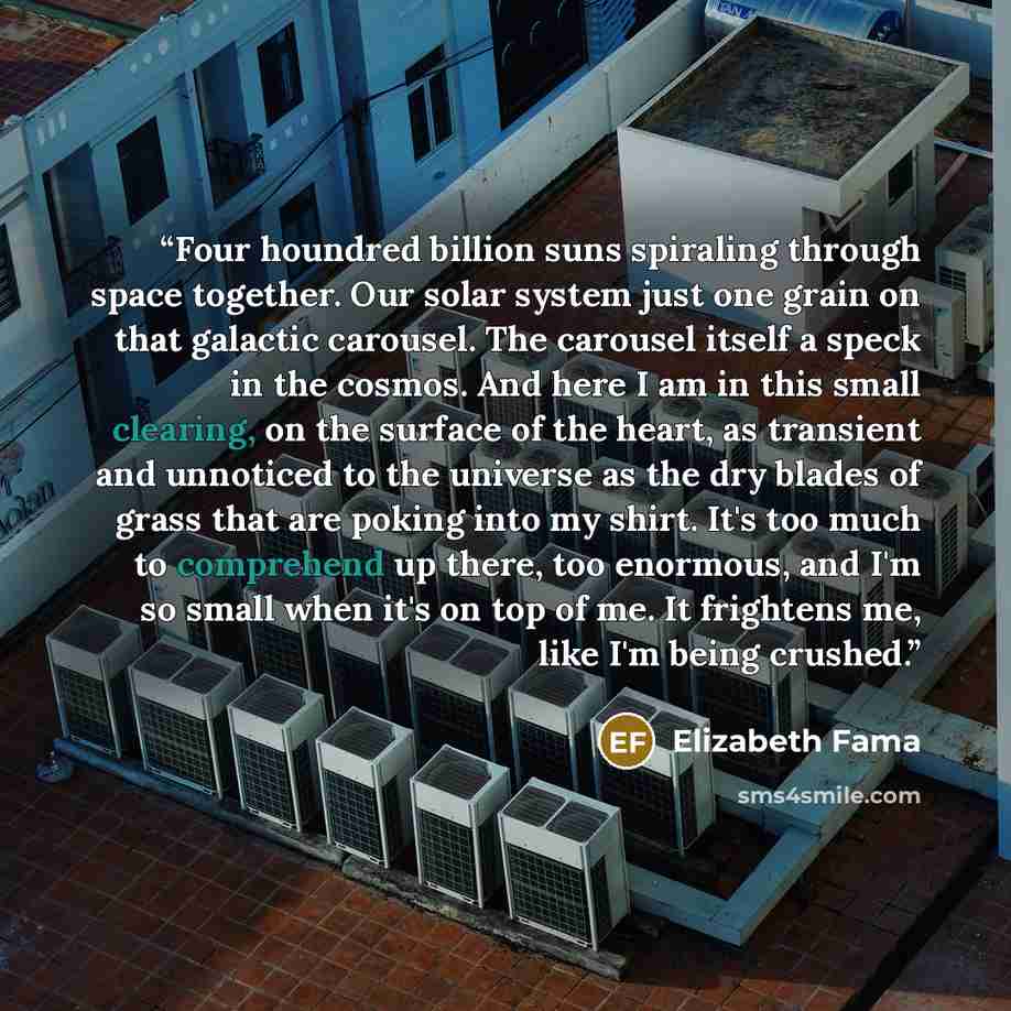 “Four houndred billion suns spiraling through space together. Our solar system just one grain on that galactic carousel. The carousel itself a speck in the cosmos. And here I am in this small clearing, on the surface of the heart, as transient and unnoticed to the universe as the dry blades of…” quote by Elizabeth Fama