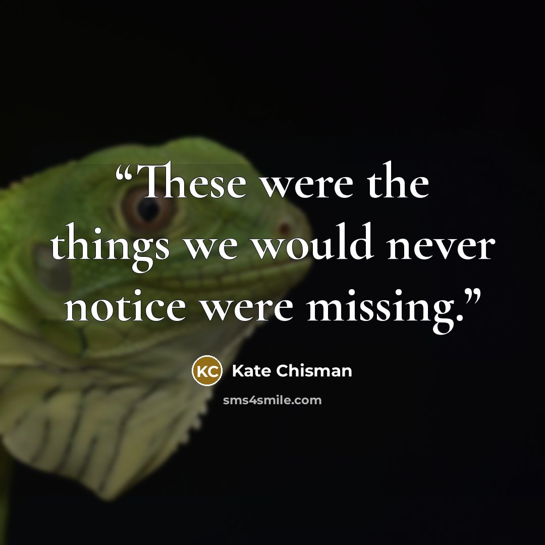 “These were the things we would never notice were missing.” quote by Kate Chisman