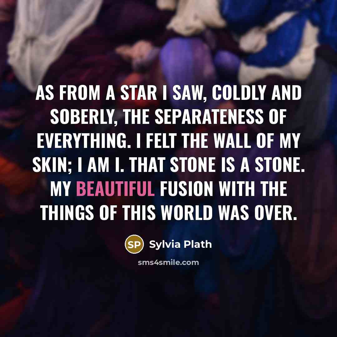 “As from a star I saw, coldly and soberly, the separateness of everything. I felt the wall of my skin; I am I. That stone is a stone. My beautiful fusion with the things of this world was over.” quote by Sylvia Plath