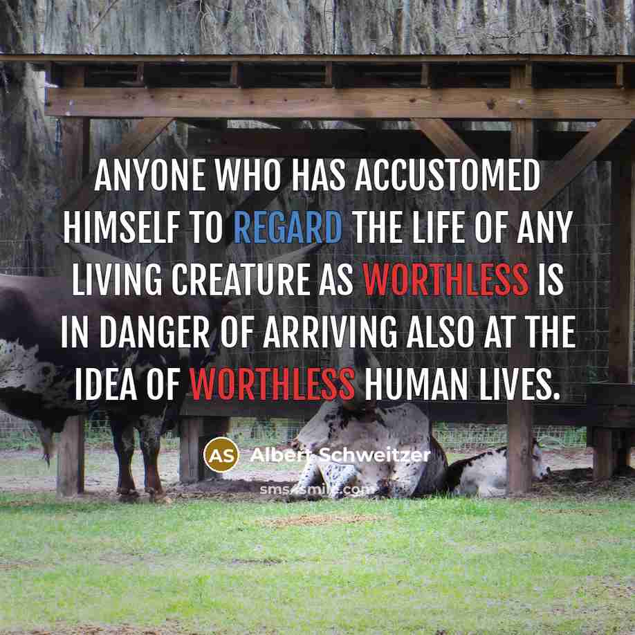“Anyone who has accustomed himself to regard the life of any living creature as worthless is in danger of arriving also at the idea of worthless human lives.” quote by Albert Schweitzer