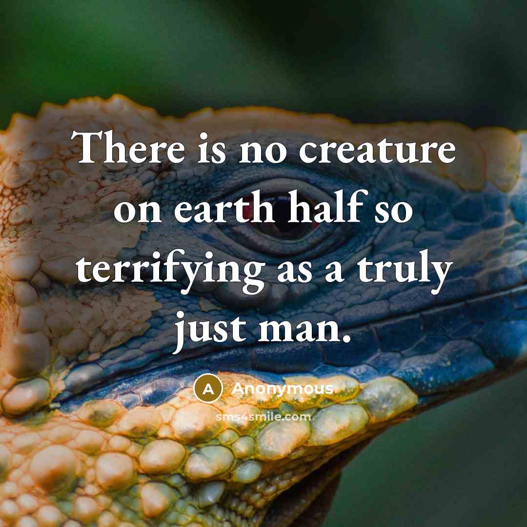 “There is no creature on earth half so terrifying as a truly just man.” quote by Anonymous