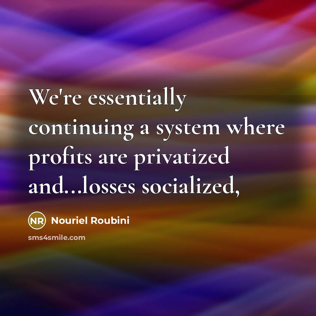 “We're essentially continuing a system where profits are privatized and...losses socialized,” quote by Nouriel Roubini