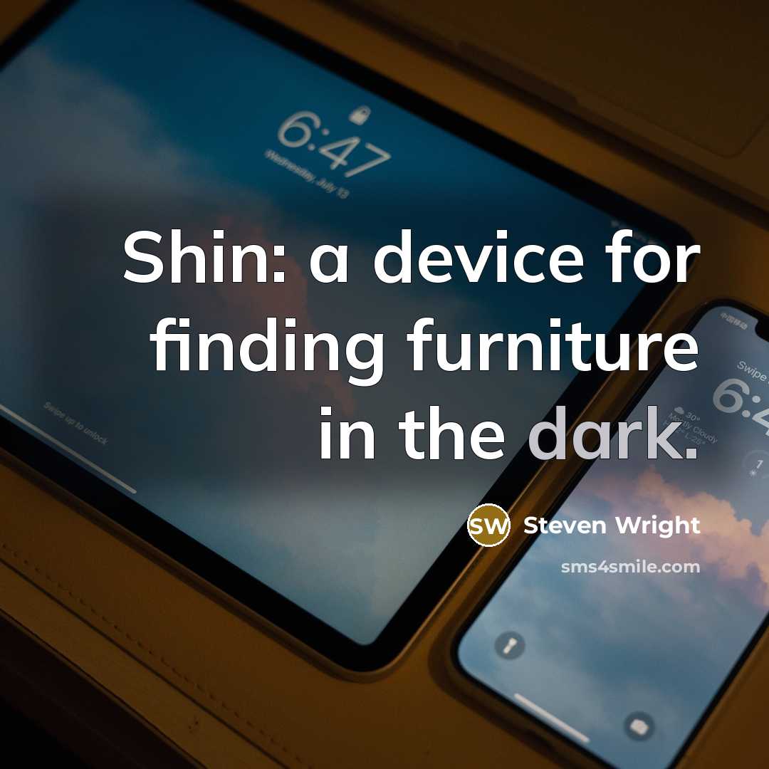 “Shin: a device for finding furniture in the dark.” quote by Steven Wright