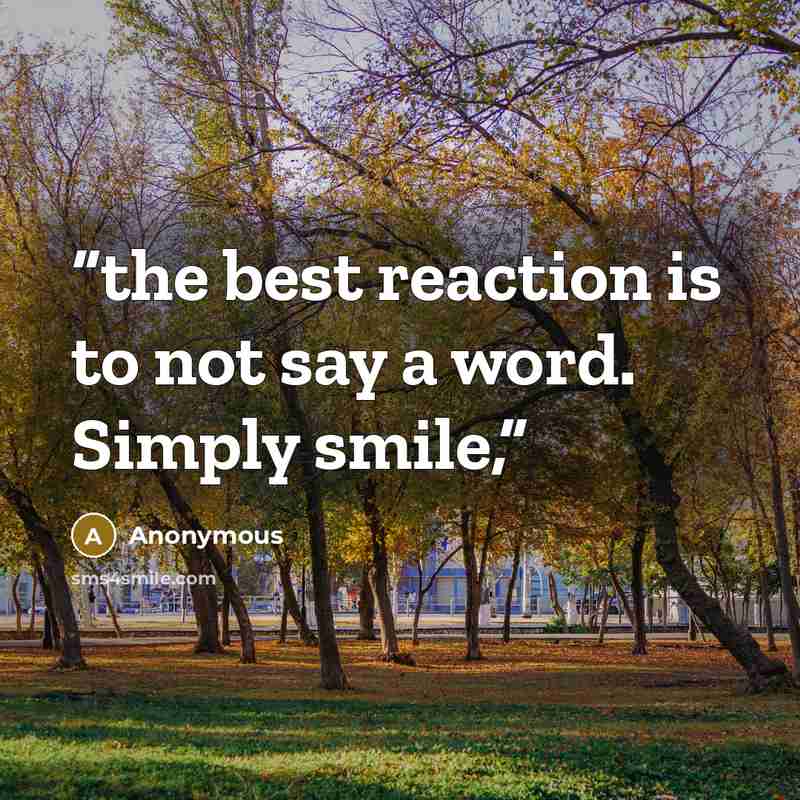 “the best reaction is to not say a word. Simply smile,” quote by Anonymous