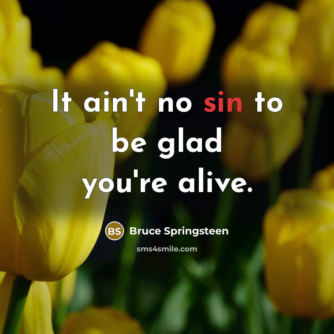“It ain't no sin to be glad you're alive.” quote by Bruce Springsteen
