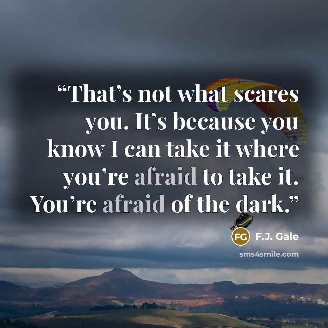 “That’s not what scares you. It’s because you know I can take it where you’re afraid to take it. You’re afraid of the dark.” quote by F.J. Gale