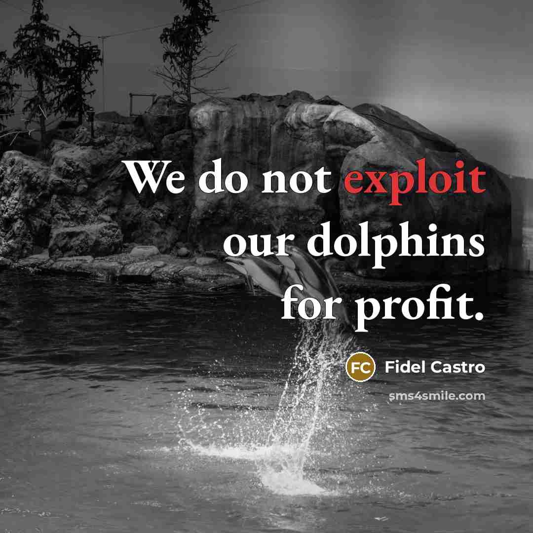 “We do not exploit our dolphins for profit.” quote by Fidel Castro