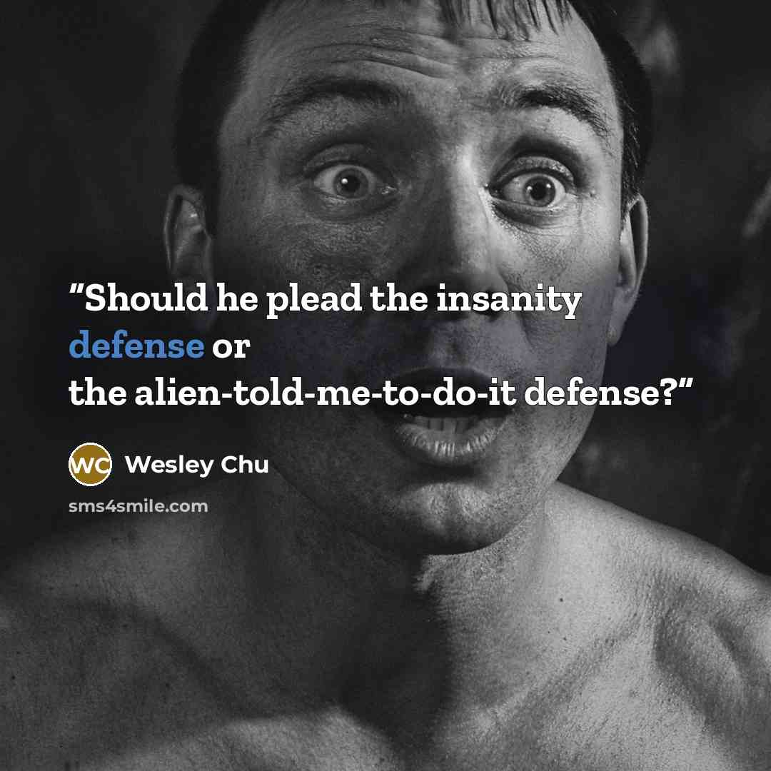 “Should he plead the insanity defense or the alien-told-me-to-do-it defense?” quote by Wesley Chu
