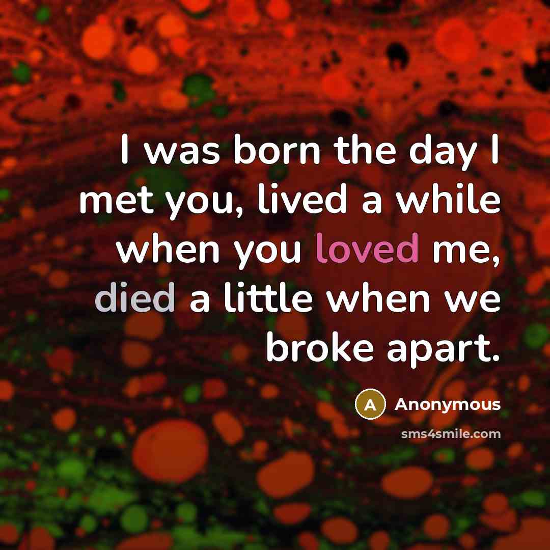 “I was born the day I met you, lived a while when you loved me, died a little when we broke apart.” quote by Anonymous