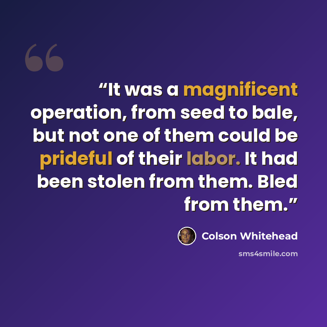 “It was a magnificent operation, from seed to bale, but not one of them could be prideful of their labor. It had been stolen from them. Bled from them.” quote by Colson Whitehead