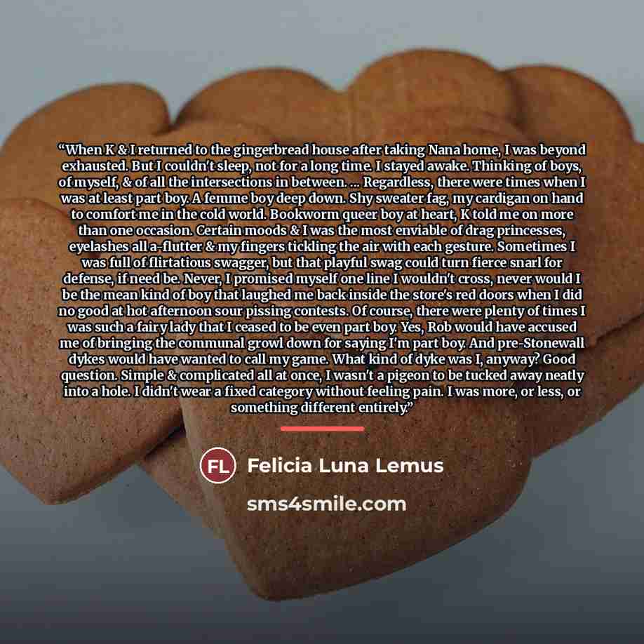 “When K & I returned to the gingerbread house after taking Nana home, I was beyond exhausted. But I couldn't sleep, not for a long time. I stayed awake. Thinking of boys, of myself, & of all the intersections in between. ... Regardless, there were times when I was at least part boy. A femme boy…” quote by Felicia Luna Lemus