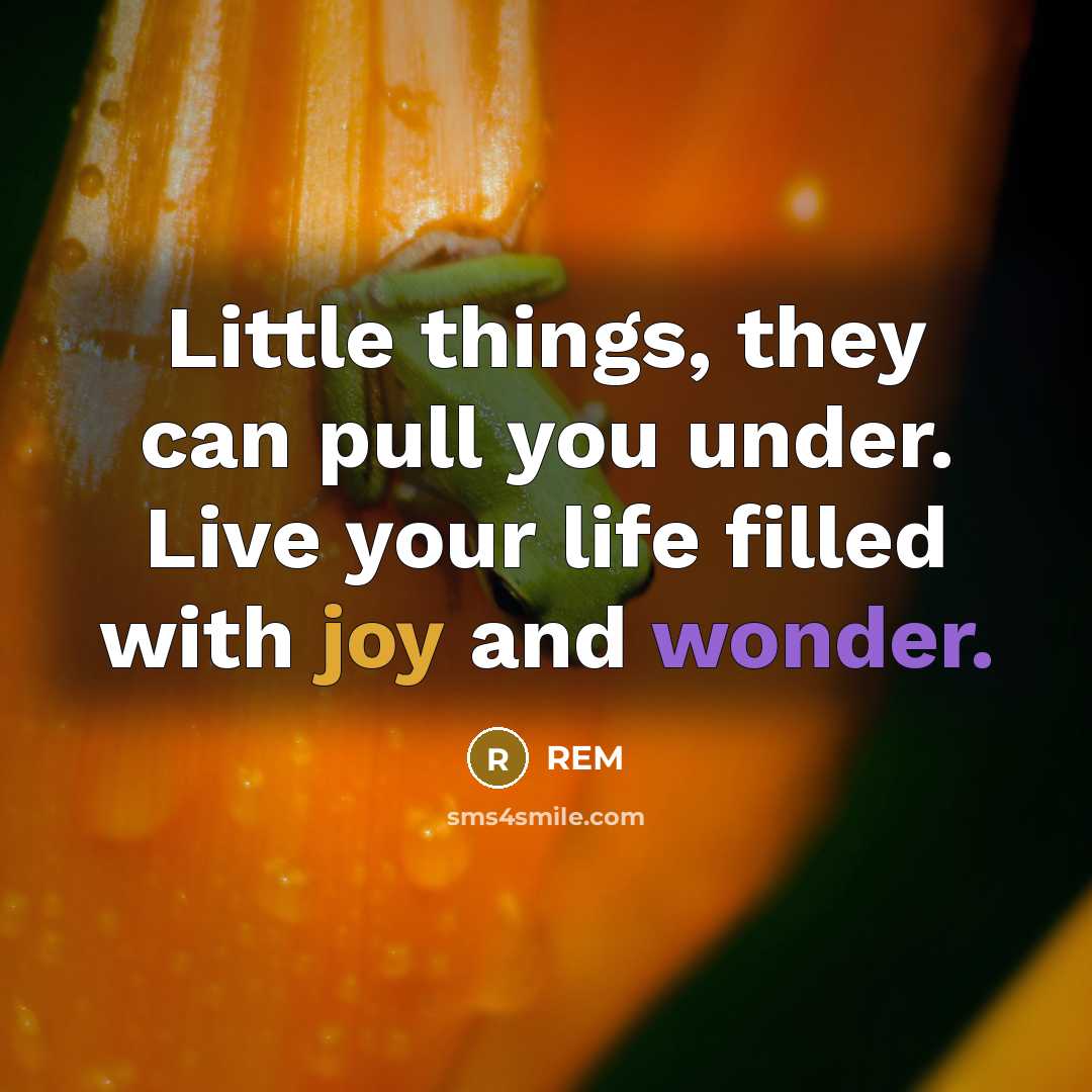 “Little things, they can pull you under. Live your life filled with joy and wonder.” quote by REM