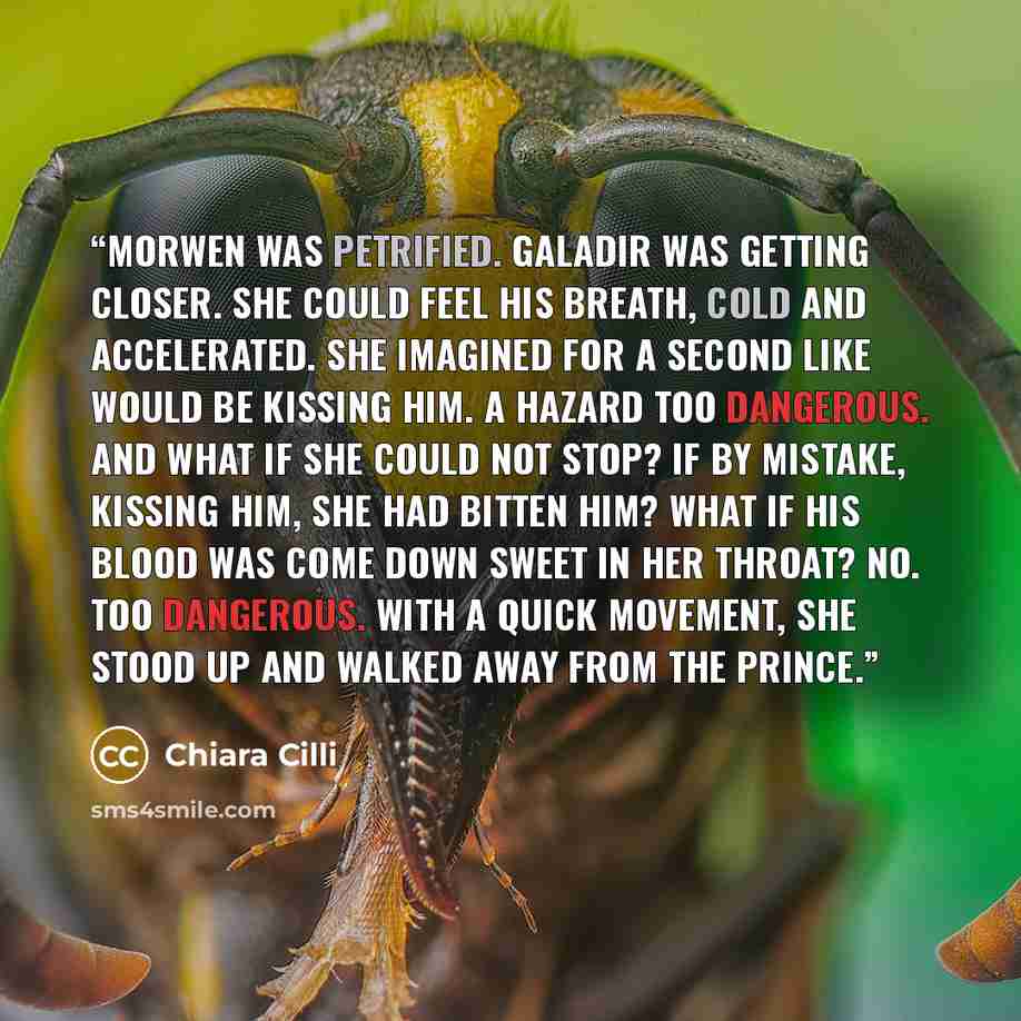 “Morwen was petrified. Galadir was getting closer. She could feel his breath, cold and accelerated. She imagined for a second like would be kissing him. A hazard too dangerous. And what if she could not stop? If by mistake, kissing him, she had bitten him? What if his blood was come down sweet in…” quote by Chiara Cilli
