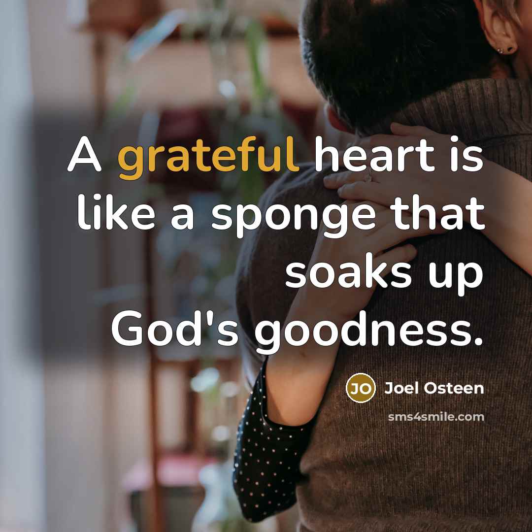 “A grateful heart is like a sponge that soaks up God's goodness.” quote by Joel Osteen