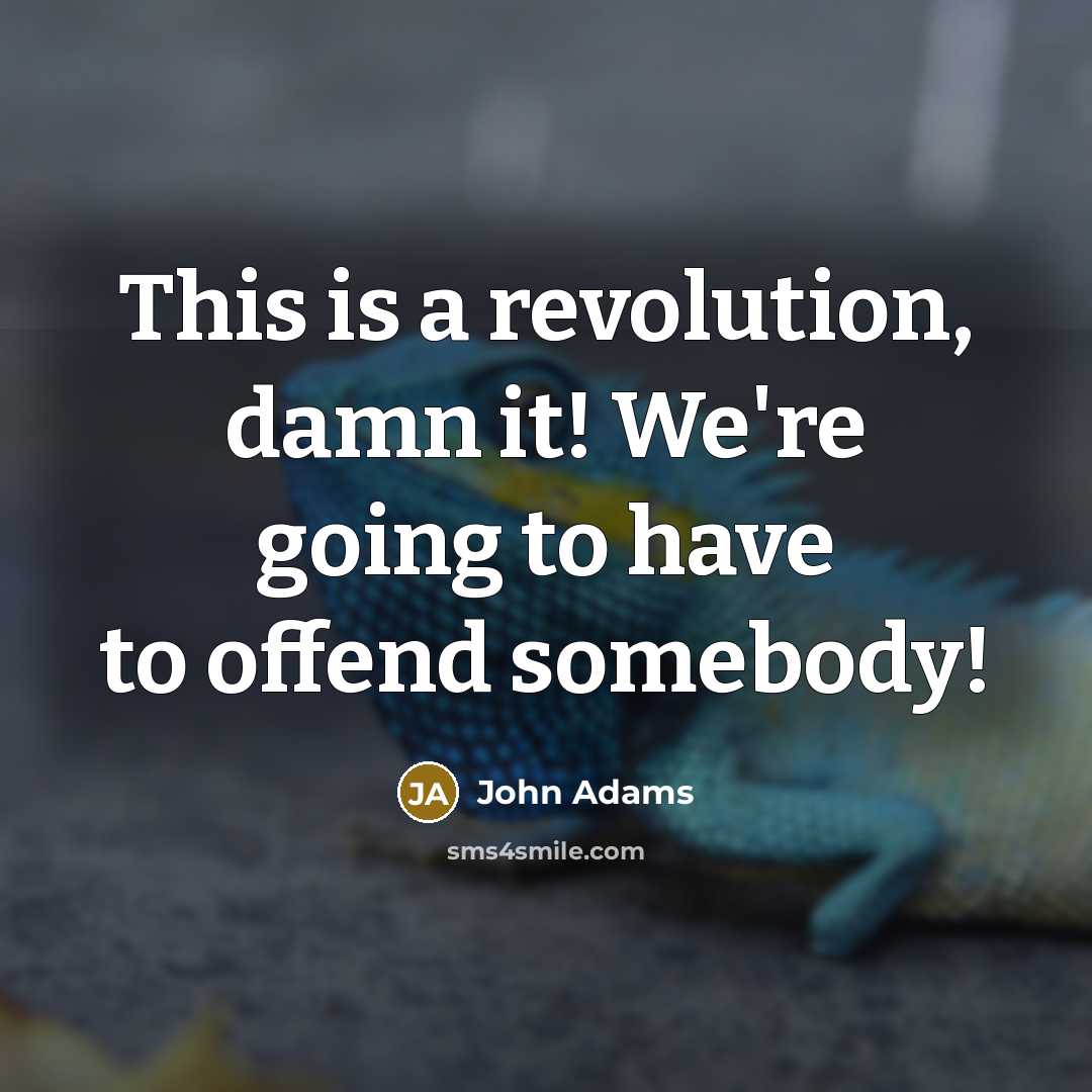 “This is a revolution, damn it! We're going to have to offend somebody!” quote by John Adams