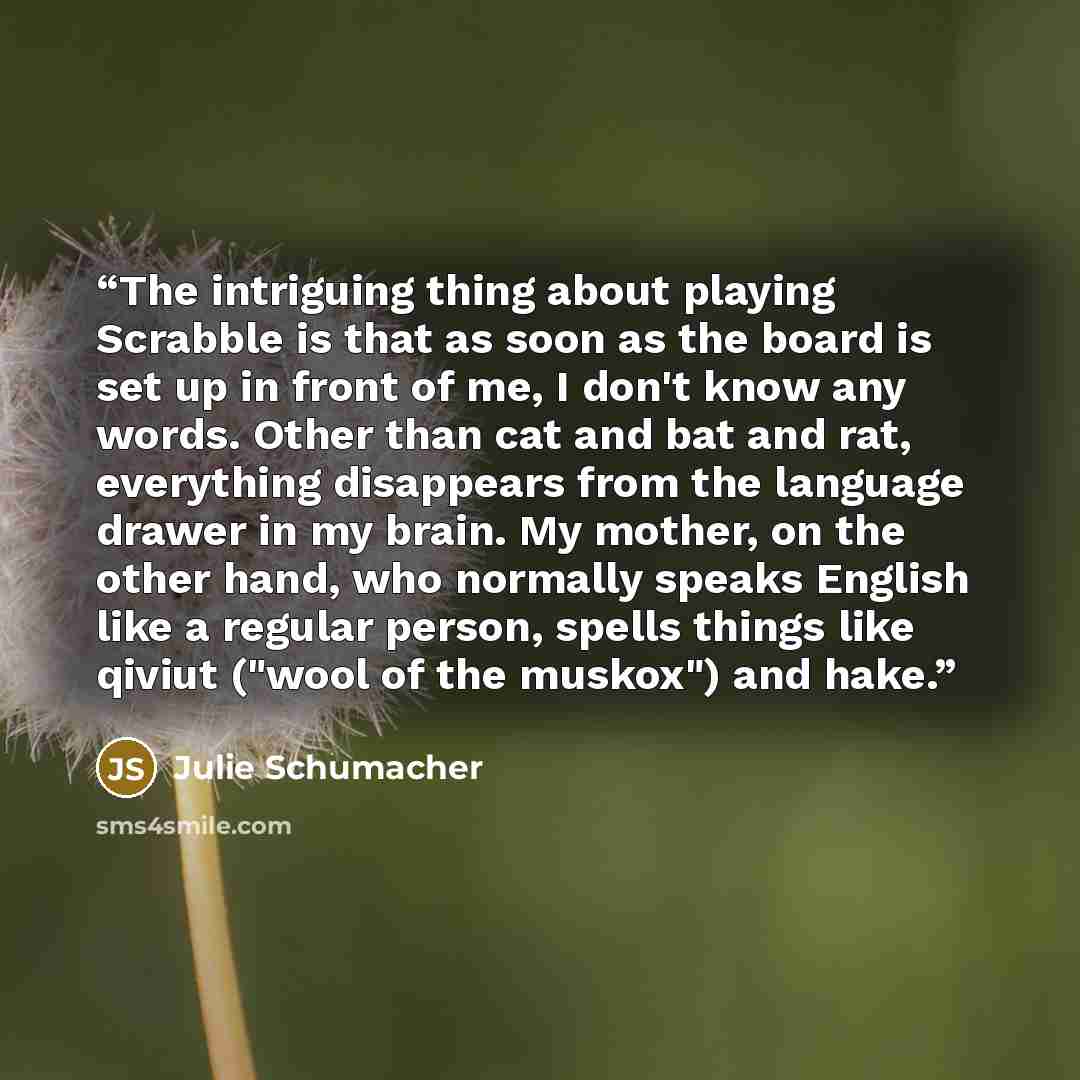 “The intriguing thing about playing Scrabble is that as soon as the board is set up in front of me, I don't know any words. Other than cat and bat and rat, everything disappears from the language drawer in my brain. My mother, on the other hand, who normally speaks English like a regular person…” quote by Julie Schumacher