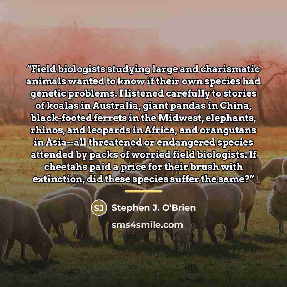 “Field biologists studying large and charismatic animals wanted to know if their own species had genetic problems. I listened carefully to stories of koalas in Australia, giant pandas in China, black-footed ferrets in the Midwest, elephants, rhinos, and leopards in Africa, and orangutans in…” quote by Stephen J. O'Brien