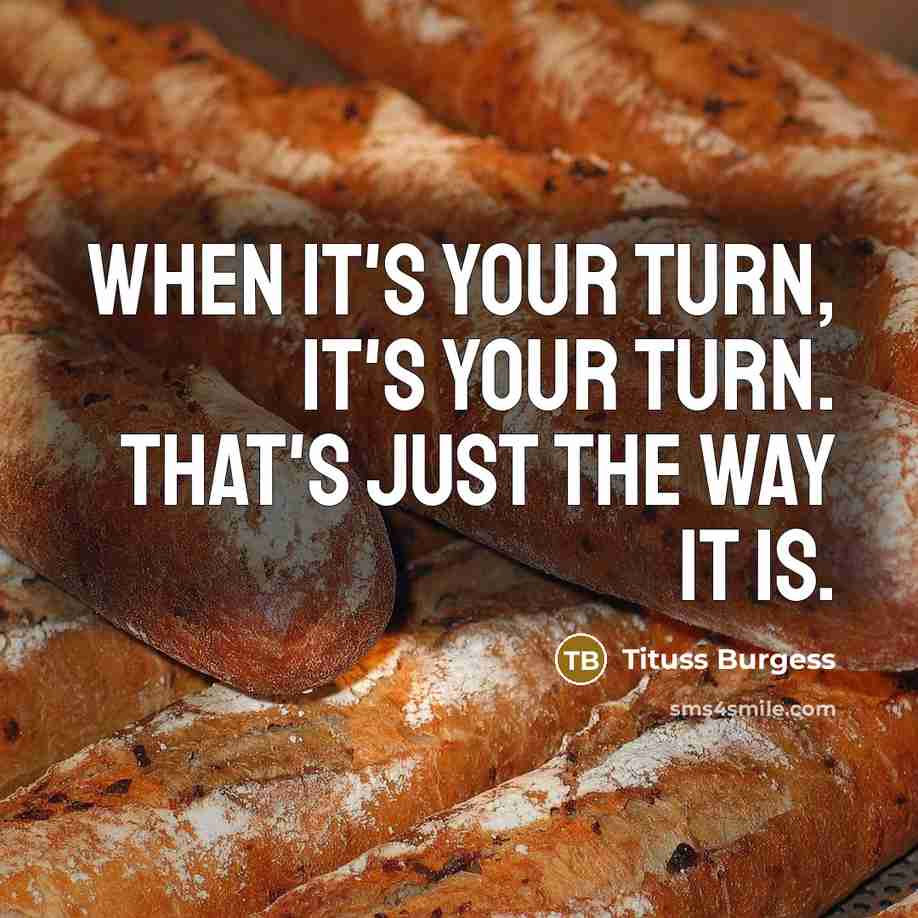 “When it's your turn, it's your turn. That's just the way it is.” quote by Tituss Burgess