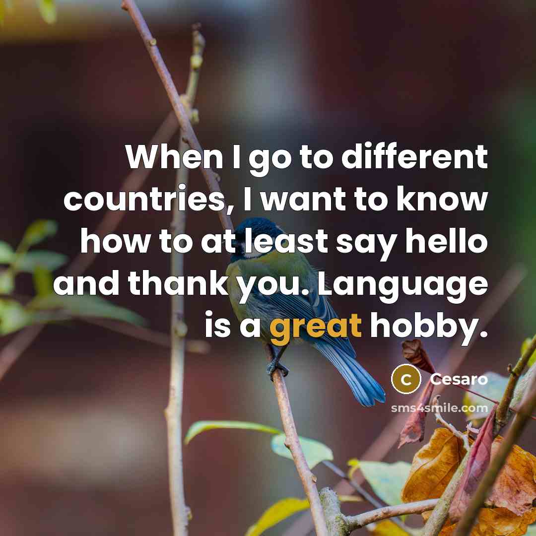 “When I go to different countries, I want to know how to at least say hello and thank you. Language is a great hobby.” quote by Cesaro