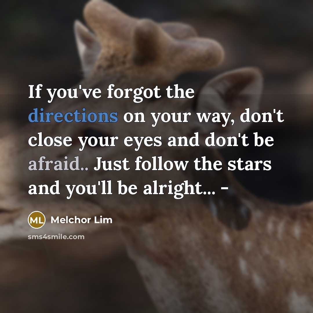 “If you've forgot the directions on your way, don't close your eyes and don't be afraid.. Just follow the stars and you'll be alright... -” quote by Melchor Lim