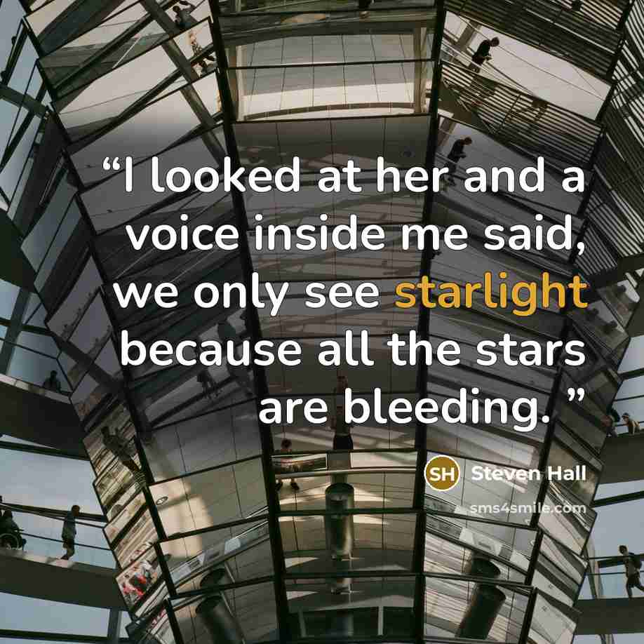 “I looked at her and a voice inside me said, we only see starlight because all the stars are bleeding.” quote by Steven Hall