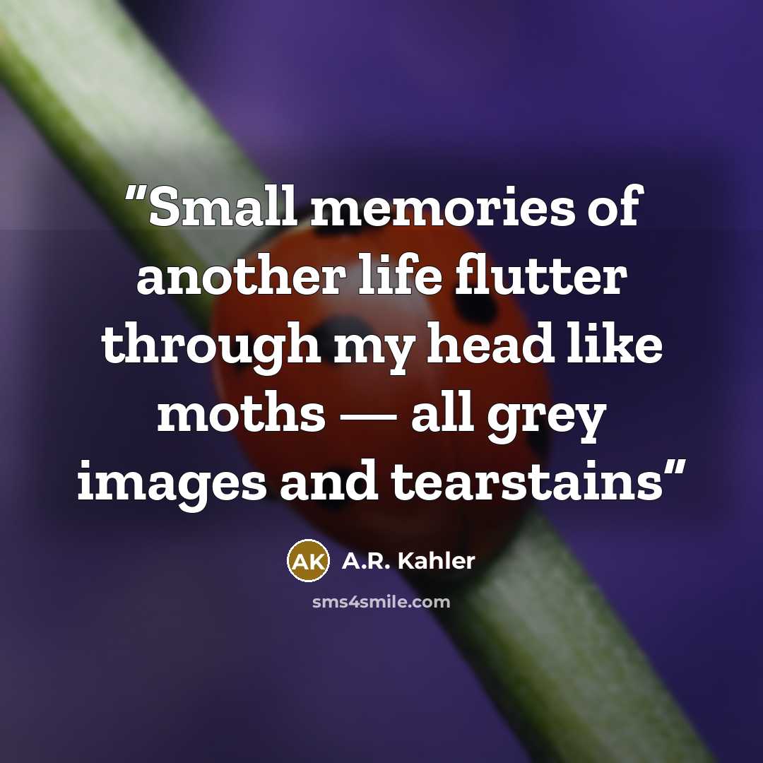 “Small memories of another life flutter through my head like moths — all grey images and tearstains” quote by A.R. Kahler