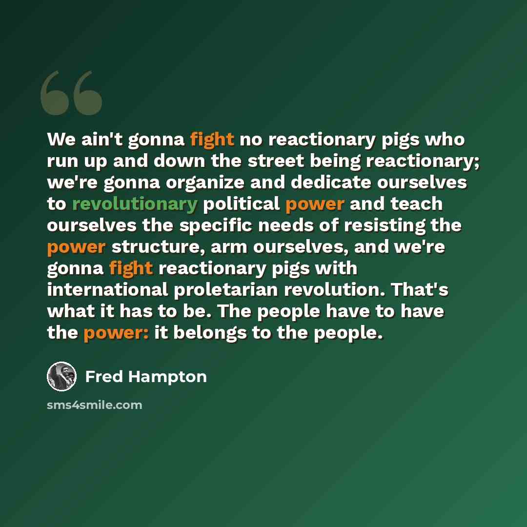 “We ain't gonna fight no reactionary pigs who run up and down the street being reactionary; we're gonna organize and dedicate ourselves to revolutionary political power and teach ourselves the specific needs of resisting the power structure, arm ourselves, and we're gonna fight reactionary pigs…” quote by Fred Hampton