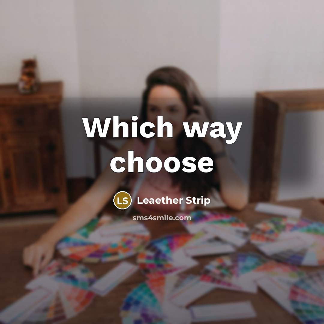 “Which way choose” quote by Leaether Strip