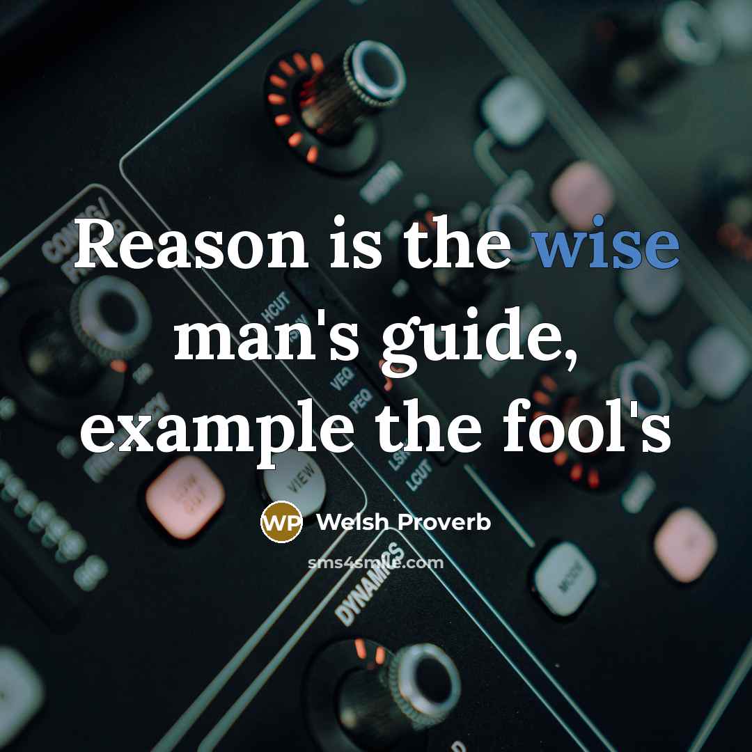 “Reason is the wise man's guide, example the fool's” quote by Welsh Proverb