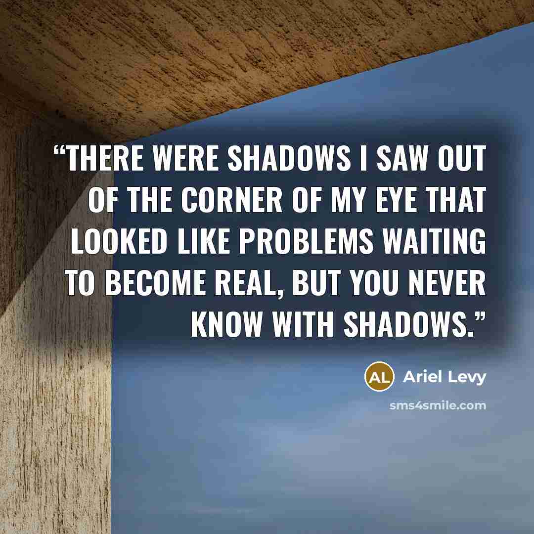 “There were shadows I saw out of the corner of my eye that looked like problems waiting to become real, but you never know with shadows.” quote by Ariel Levy