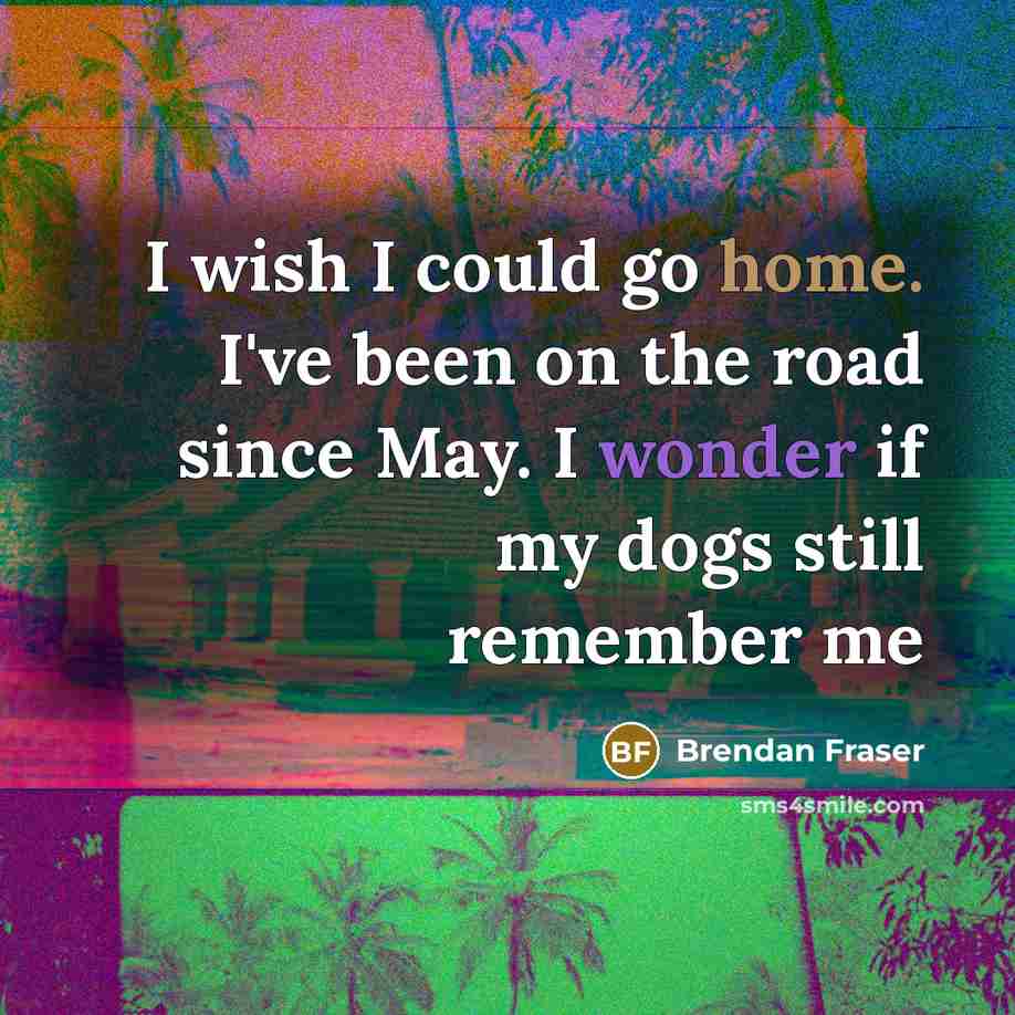 “I wish I could go home. I've been on the road since May. I wonder if my dogs still remember me” quote by Brendan Fraser