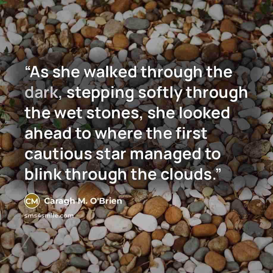 “As she walked through the dark, stepping softly through the wet stones, she looked ahead to where the first cautious star managed to blink through the clouds.” quote by Caragh M. O'Brien