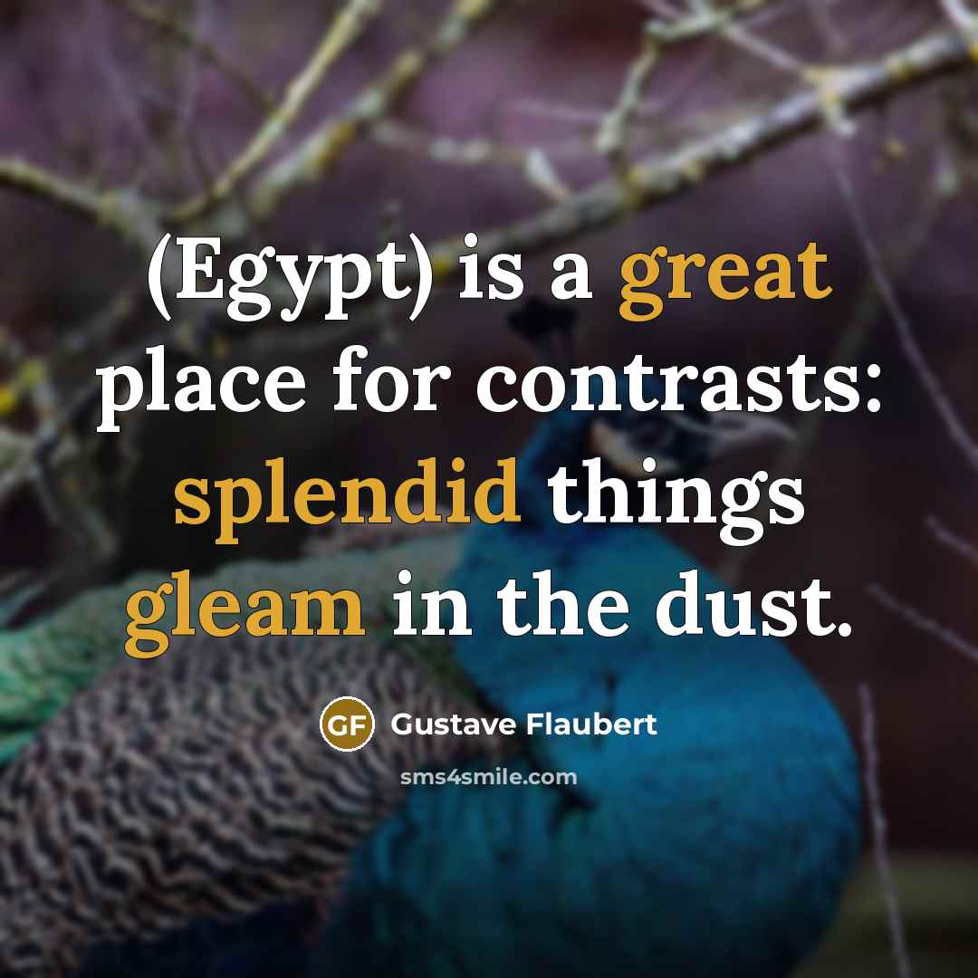 “(Egypt) is a great place for contrasts: splendid things gleam in the dust.” quote by Gustave Flaubert