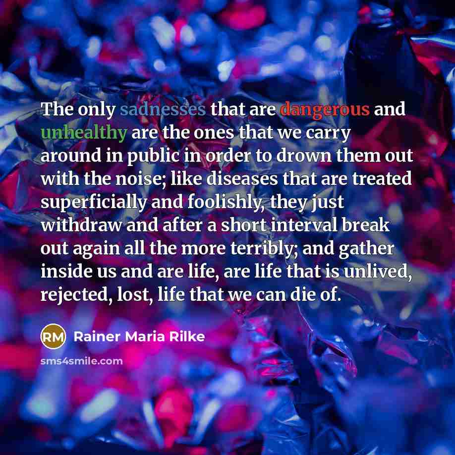 “The only sadnesses that are dangerous and unhealthy are the ones that we carry around in public in order to drown them out with the noise; like diseases that are treated superficially and foolishly, they just withdraw and after a short interval break out again all the more terribly; and gather…” quote by Rainer Maria Rilke