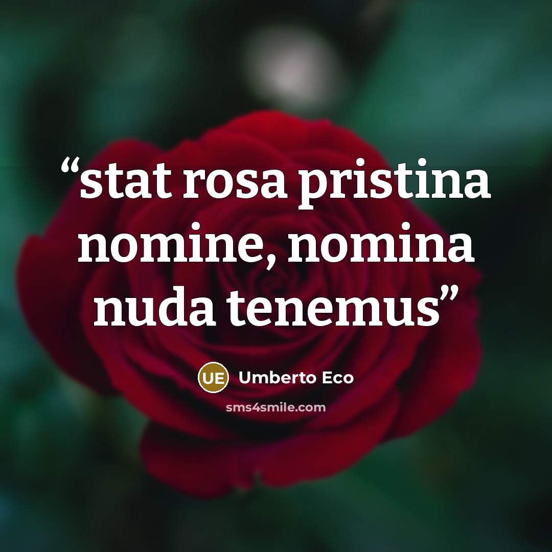 “stat rosa pristina nomine, nomina nuda tenemus” quote by Umberto Eco