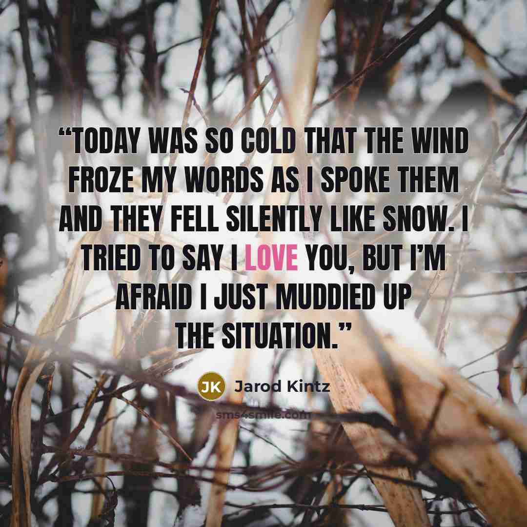 “Today was so cold that the wind froze my words as I spoke them and they fell silently like snow. I tried to say I love you, but I’m afraid I just muddied up the situation.” quote by Jarod Kintz