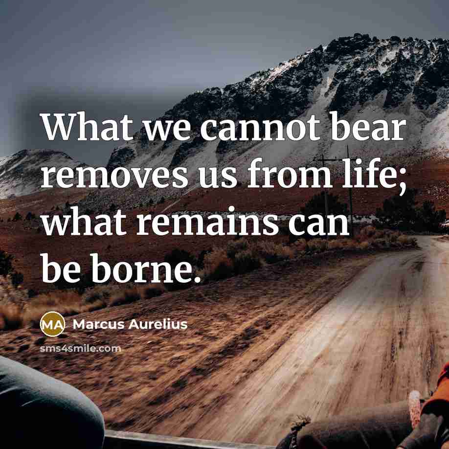 “What we cannot bear removes us from life; what remains can be borne.” quote by Marcus Aurelius