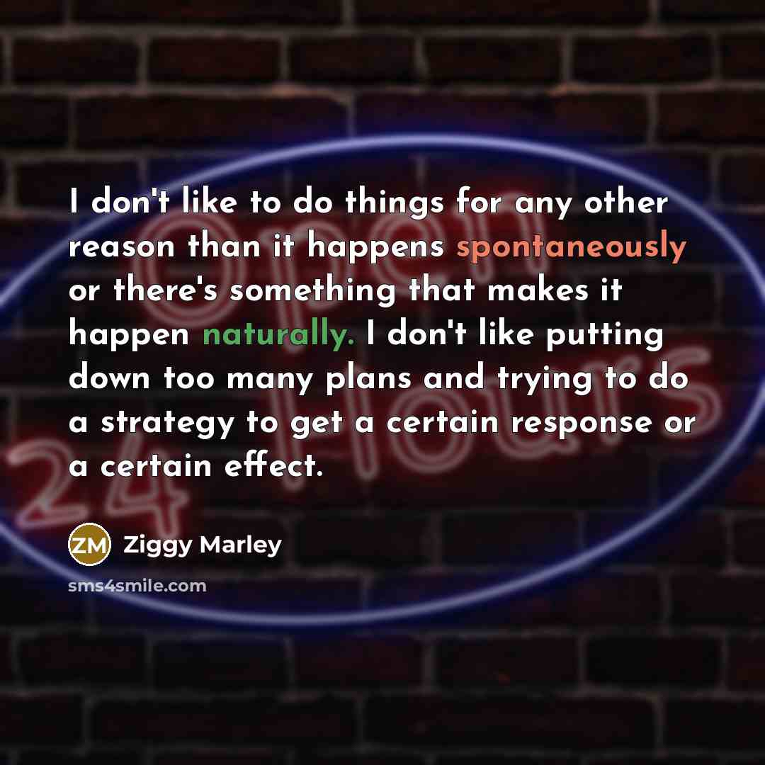 “I don't like to do things for any other reason than it happens spontaneously or there's something that makes it happen naturally. I don't like putting down too many plans and trying to do a strategy to get a certain response or a certain effect.” quote by Ziggy Marley