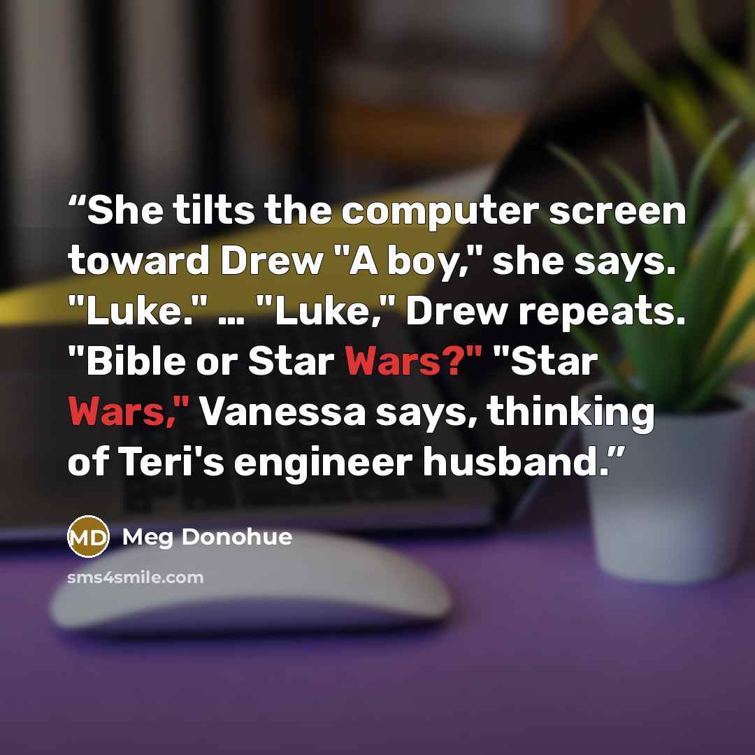 “She tilts the computer screen toward Drew "A boy," she says. "Luke." … "Luke," Drew repeats. "Bible or Star Wars?" "Star Wars," Vanessa says, thinking of Teri's engineer husband.” quote by Meg Donohue