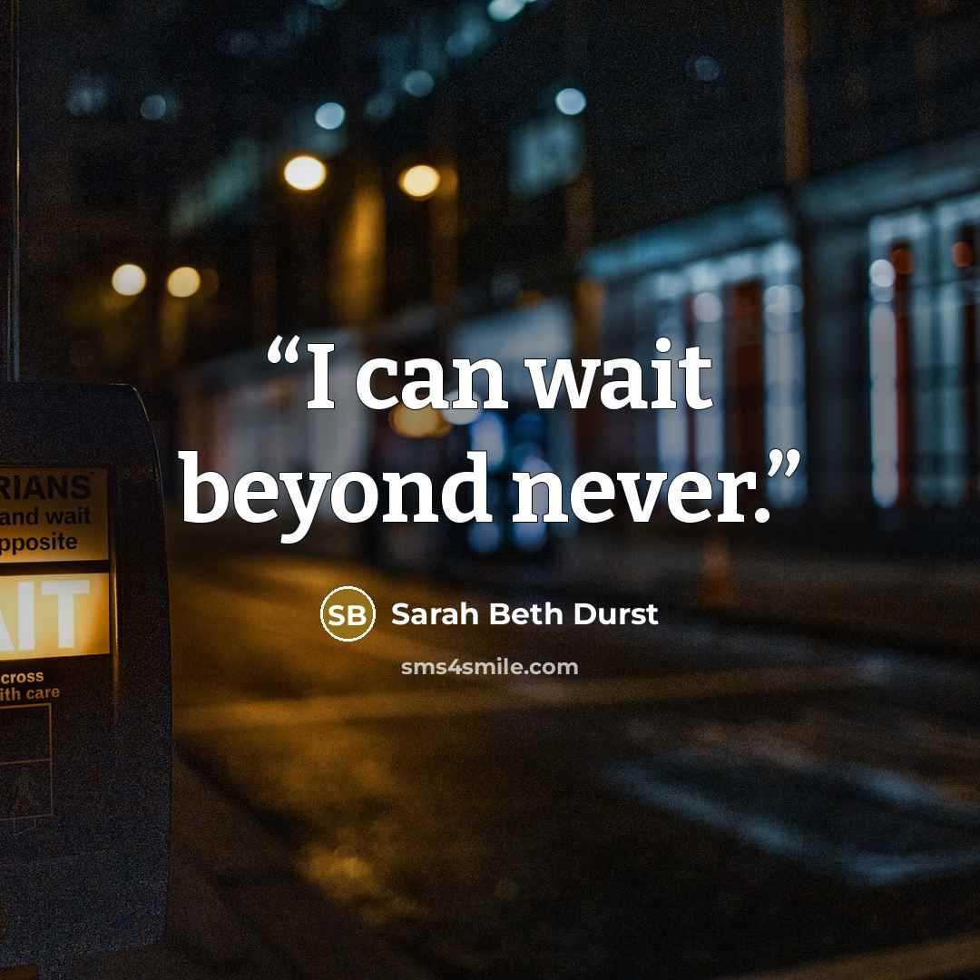 “I can wait beyond never.” quote by Sarah Beth Durst