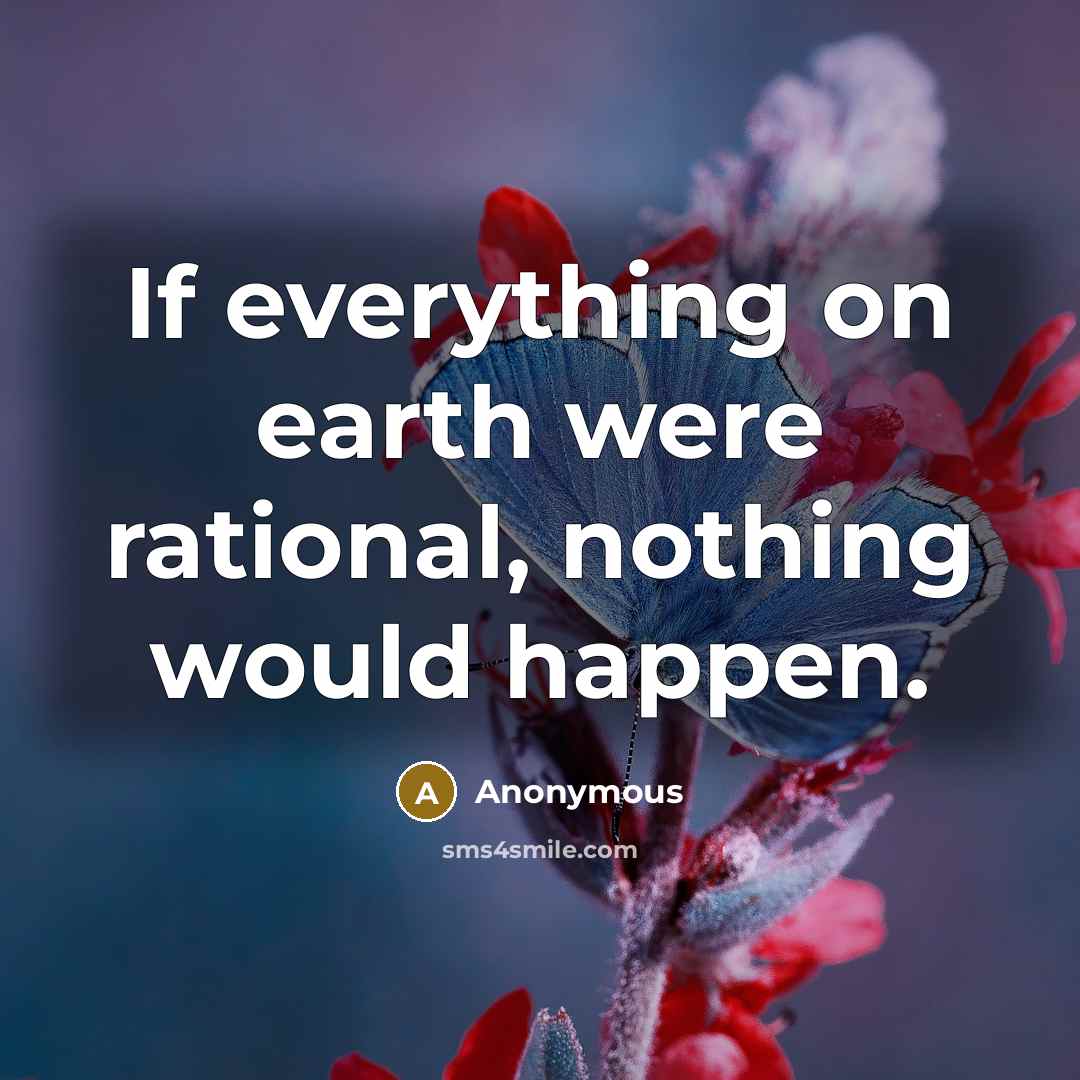 “If everything on earth were rational, nothing would happen.” quote by Anonymous